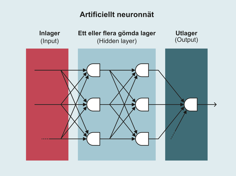 Bilden visar hur ett artificiellt neuronnät är uppbyggt. Det artificiella neuronnätet består av tre delar: ett inlager ("input layer", ett eller flera gömda lager ("hidden layer") och ett utlager ("output layer").